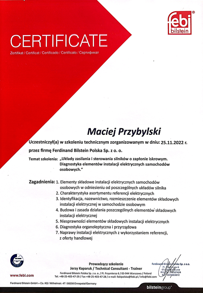 siniki o zapłonie iskrowym3